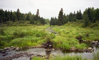 UNESCO World Heritage Sites in Canada | The Canadian Encyclopedia