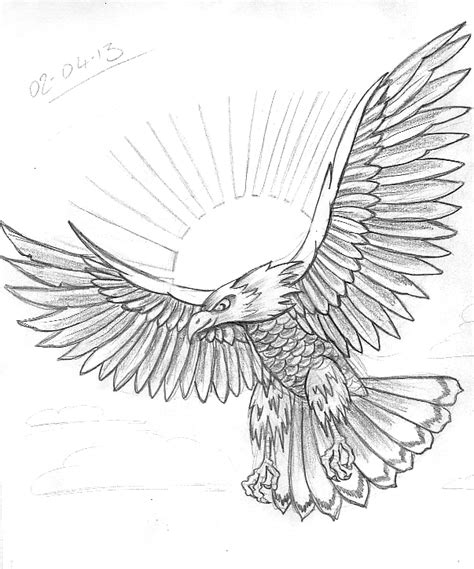 Bird Wing Sketch at PaintingValley.com | Explore collection of Bird ...