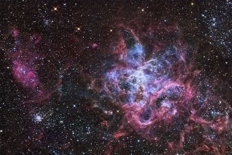 Tarantula Nebula - Alchetron, The Free Social Encyclopedia