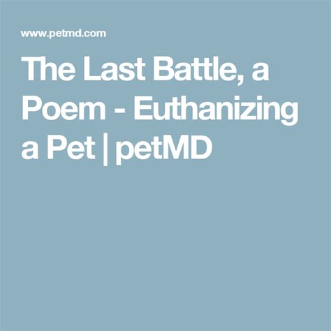 The Last Battle A Poem Euthanizing A Pet Petmd Last Battle