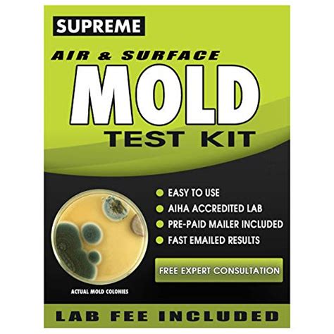 10 Best Airborne Mold Test Kit Reviews Comparison Maine Innkeepers