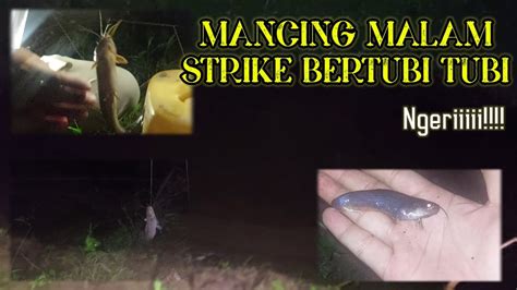 Ngeri Tak Disangka Mancing Malam Strike Bertubi Tubi Lele Babon