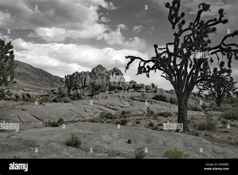 Joshua Stock Photo Alamy