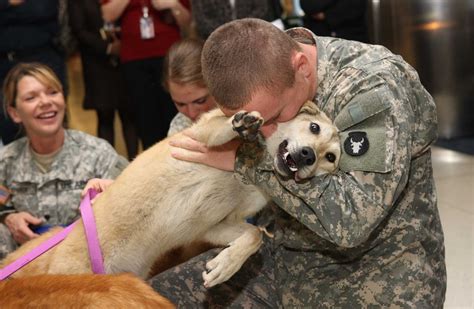 Supporting Troops and Pets – Adoption and Foster Care – Companah Pet ...