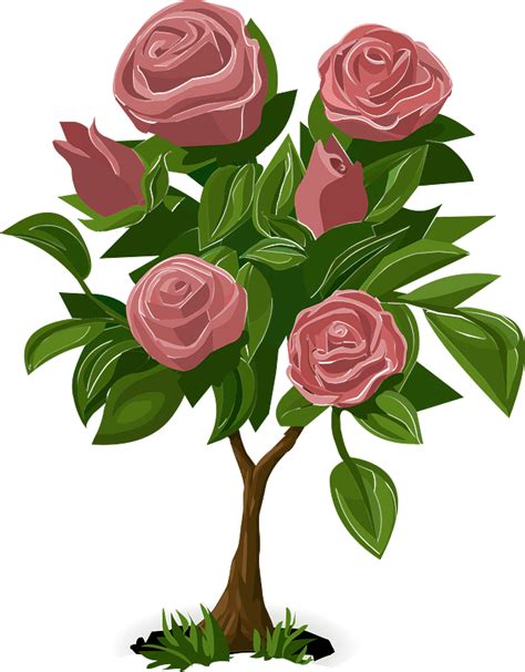 Free Rose Bush Vector Art - Download 10+ Rose Bush Icons - Clip Art Library