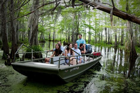 Vip Swamp Tour Cajun Encounters Tour Company New Orleans