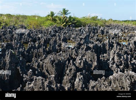 Limestone formations in Hell, Grand Cayman Stock Photo - Alamy