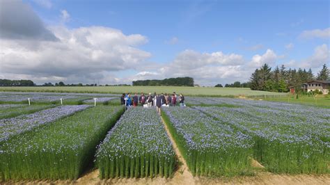 Qui Sommes Nous D Couvrez Notre Histoire Lepicard Agriculture