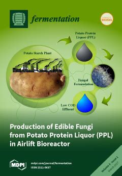 Fermentation Free Full Text Production Of Edible Fungi From Potato