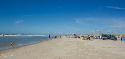 6 campingpladser hvor naturen er det bærende