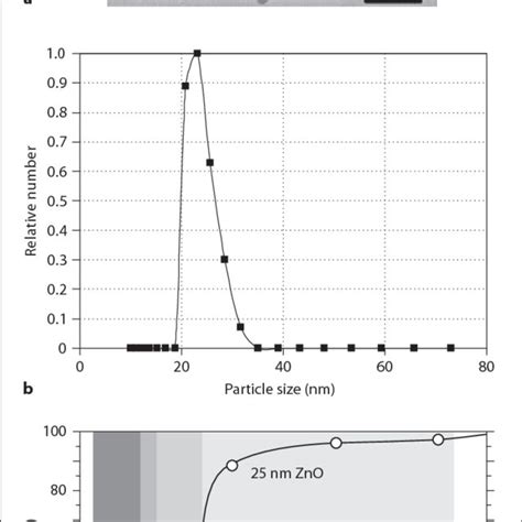 Electron Micrographs Of Human Skin Showing ZnO Nanoparticle Mineral