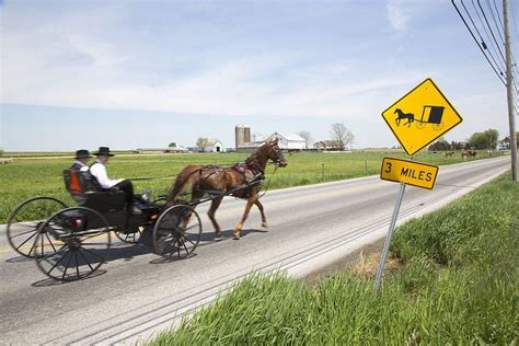 Amish Rules (A Guide to Rules & Punishments)