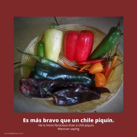 health benefits of chile peppers | Surviving Mexico