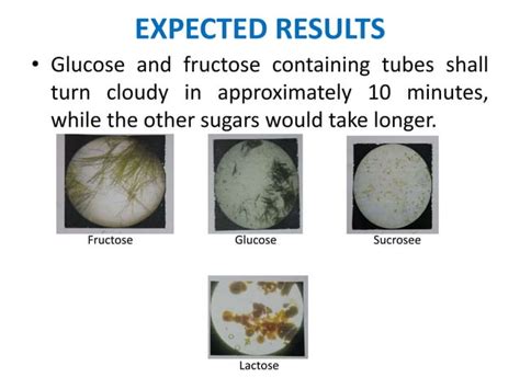 Qualitative Tests To Identify Functional Groups Of Carbohydrates Ppt