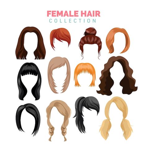 Female Hair Vector Collection Premium Vector