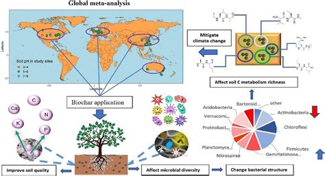 Manudelgadobaquerizo On Twitter New Biofunlab Irnas Csic Csic