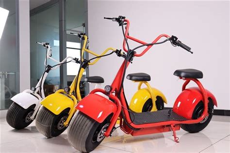 China Eec Coc Approved Mini Citycoco W Electric Scooter