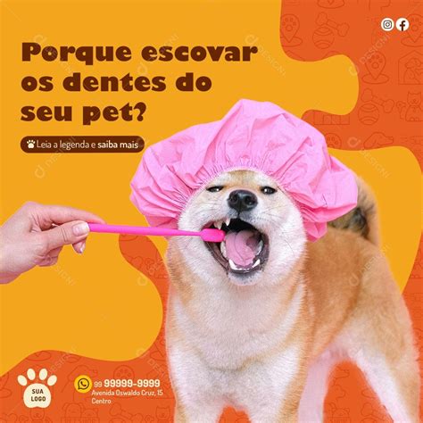 Por Que Escovar Os Dentes Do Seu Pet Social Media Psd Edit Vel