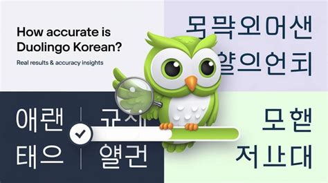 How Accurate Is Duolingo Korean Real Results Accuracy