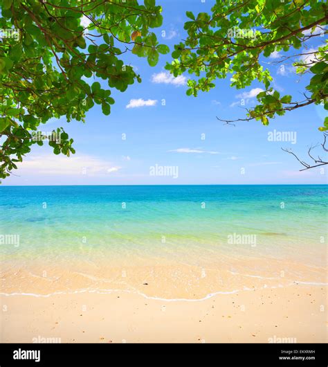 Beautiful Tropical Beach Stock Photo Alamy