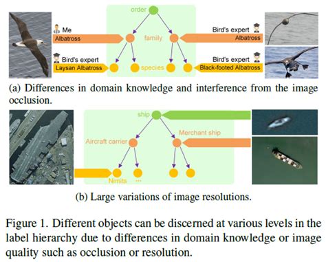 Cvpr Label Relation Graphs Enhanced Hierarchical Residual