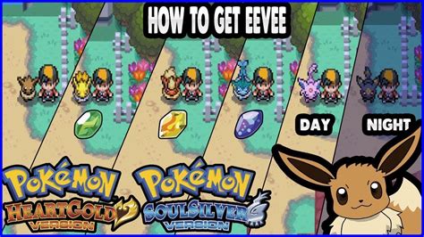 Pokemon Heartgold And Soulsilver How To Get Eevee Evolve It Youtube