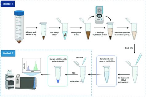 scheme  sample preparation  fecal samples  targeted analysis