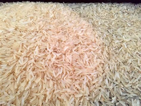 Pusa Golden Basmati Rice At Best Price In Kurukshetra Mukta Foods