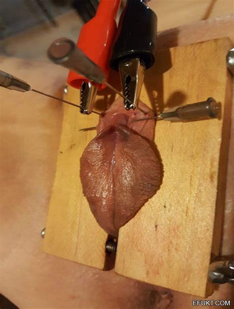 Whos Pussy Is This NameThatPorn