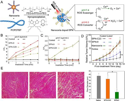 A Scheme For Nanoceria Of Self Regulated Photodynamic Properties At