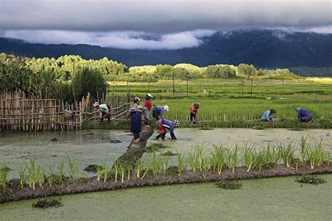 Visit The Land Of Last Apatani Tribal People And Learn Their Ways Of ...