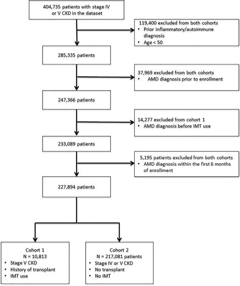 Flow Chart Of Patients In Each Cohort After Applying Exclusion And