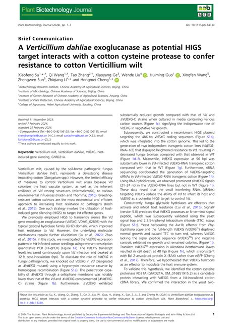 Pdf A Verticillium Dahliae Exoglucanase As Potential Higs Target