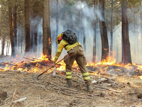 Balance Conaf Un Incendio Forestal Se Mantiene Activo Y En Combate En