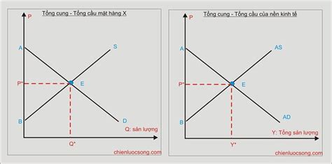 Bài Tập Vẽ đồ Thị Kinh Tế Vi Mô Với Dữ Liệu Thực Tế