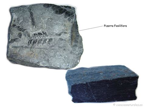 Clasificación De Rocas De José Antonio Borreguero Rolo