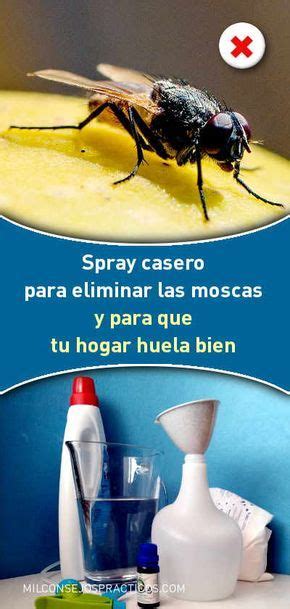 Spray Casero Para Eliminar Las Moscas Y Para Que Tu Hogar Huela Bien