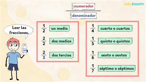 Partes De Una Fraccion Labelled Diagram The Best Porn Website