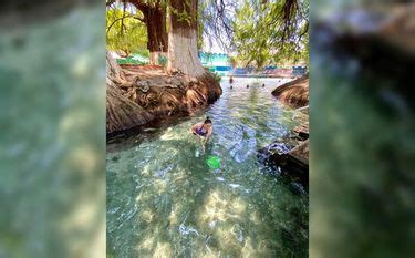 Qué visitar en Guanajuato Ojo de Agua en Tarandacuao Grupo Milenio