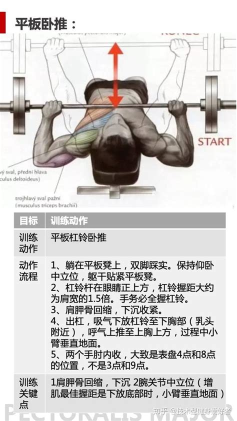 卧推 Bench Press“仰卧推举”全解（建议收藏） 知乎