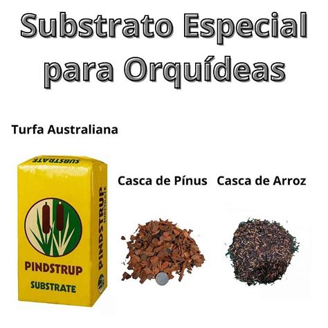 Substrato Especial Para Orqu Deas Base De Turfa Orquid Rio