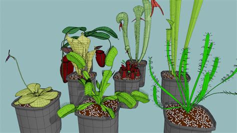 ArtStation - 3D Carnivorous Plants Collection | Resources