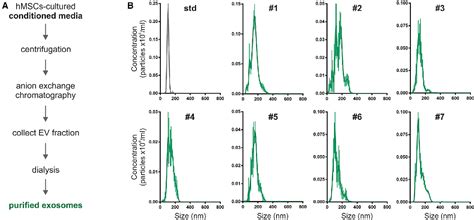 Figure 1 From In Vitro Macrophage Assay Predicts The In Vivo Anti