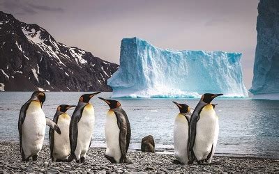 Antarctica Cruises & Travel Tours | Luxury Antarctica Cruises