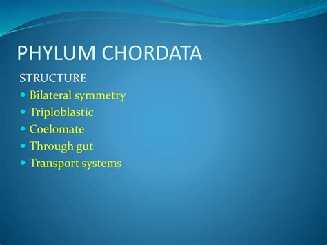 Biodiversity Of Animals Ppt Download