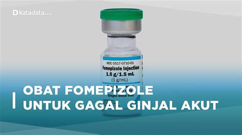 Mengenal Fomepizole Obat Untuk Pengobatan Gagal Ginjal Akut Katadata