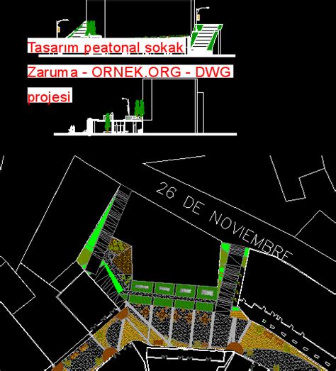 Tasarım peatonal sokak Zaruma dwg projesi Autocad Projeler