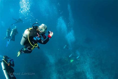 Padi Dive Master Course Bali Dive Resort Spa