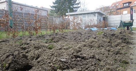 Vierkante Meter Tuinieren Je Eigen Minimoestuin Maken Deel 2