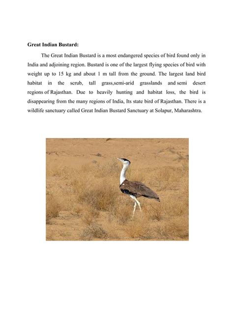 Endangered Birds In India Pdf